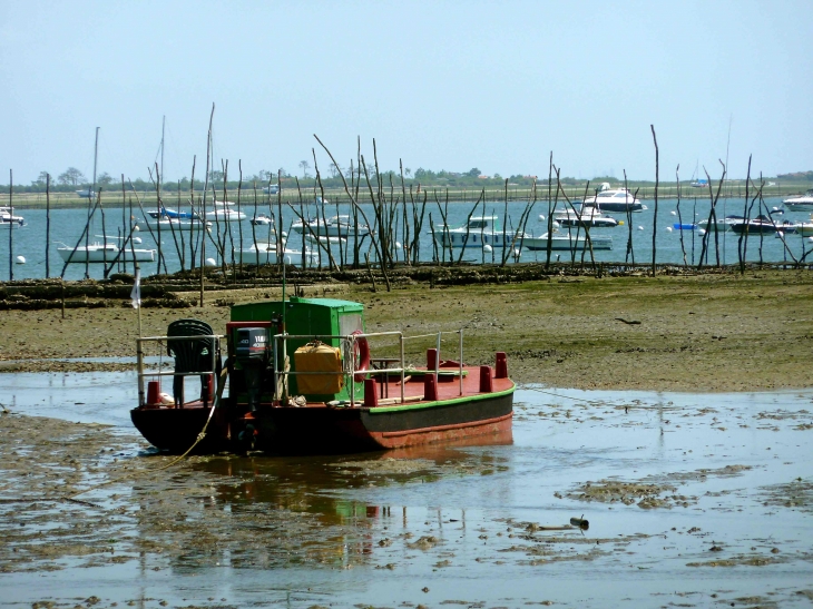 A Piraillan - Lège-Cap-Ferret