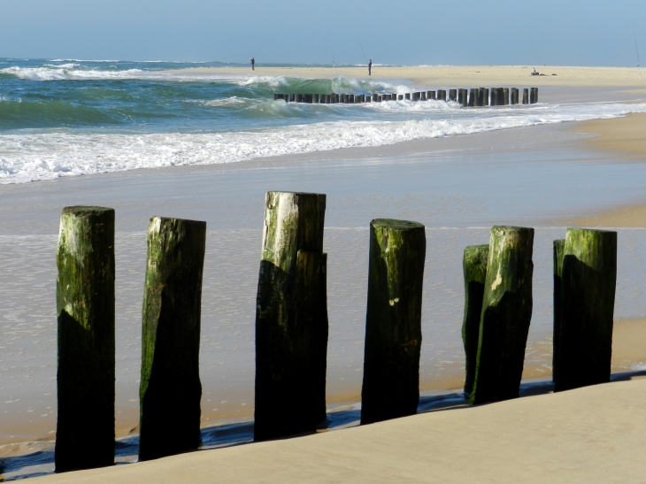 Le Cap-Ferret - Lège-Cap-Ferret