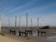 Photo précédente de Lège-Cap-Ferret La presqu'île du Bassin d'Arcachon