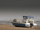 Photo précédente de Lège-Cap-Ferret La presqu'île du Bassin d'Arcachon