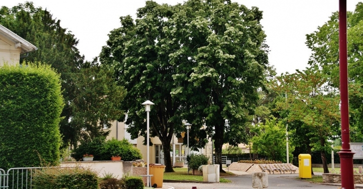 La Mairie - Les Artigues-de-Lussac