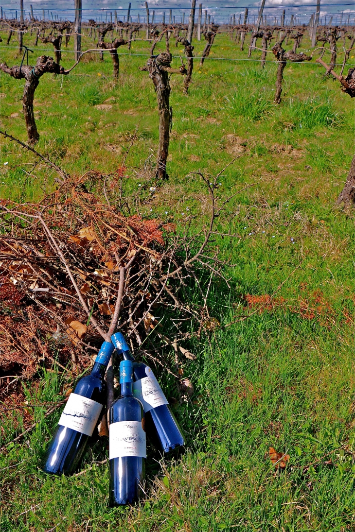 Vignoble du château de Lavison - Loubens