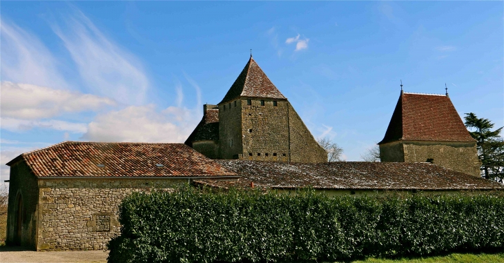 Château de Lavison - Loubens