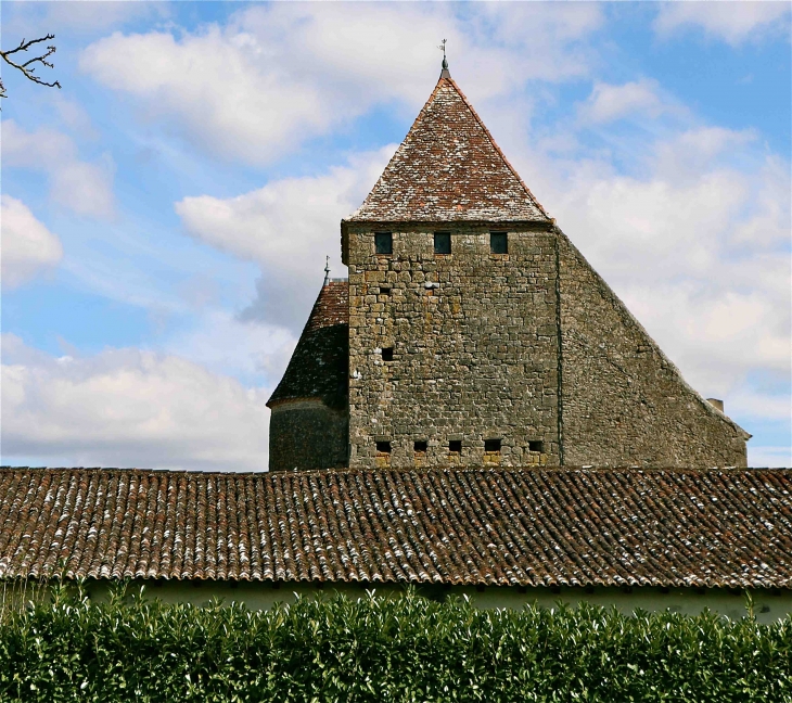 Château de Lavison - Loubens