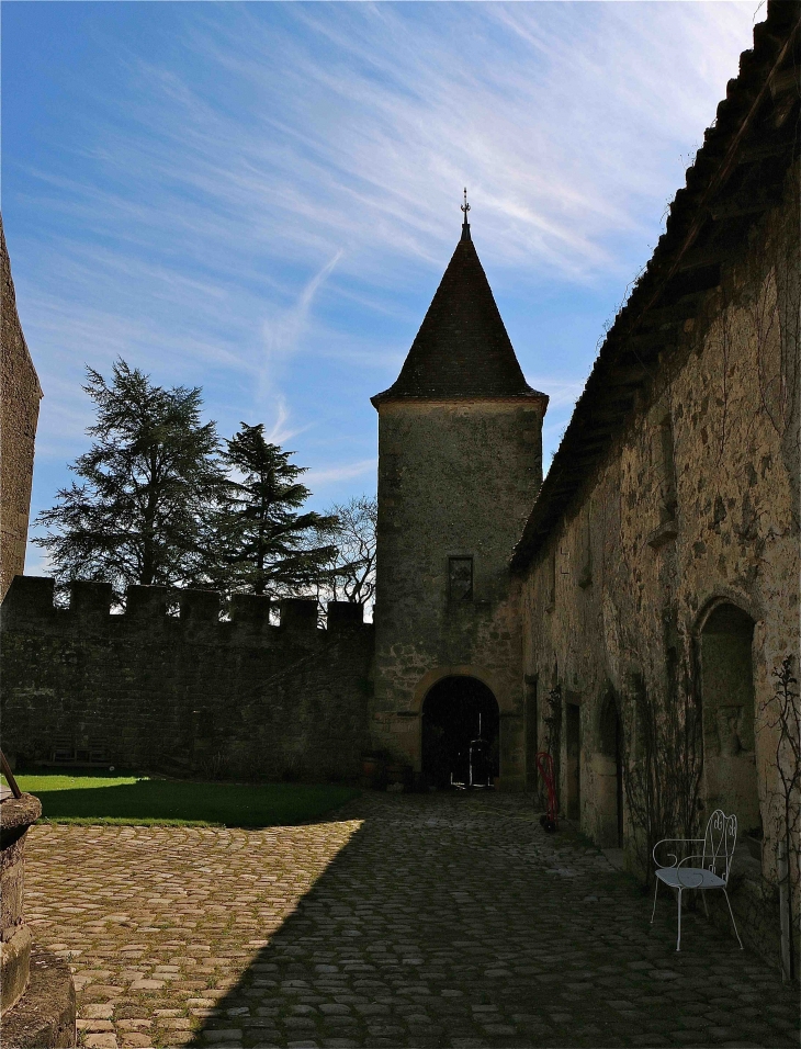 Château de Lavison - Loubens