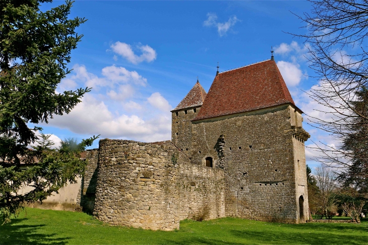 Château de Lavison - Loubens