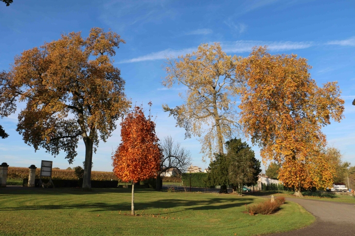 Le parc de la Mairie - Mauriac