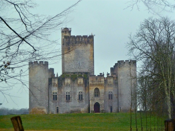 Le Château est dans la même famille depuis 700 ans. Il est constitué de deux châteaux forts, l'un datant du XI° et l'autre du XIV°. - Mazères