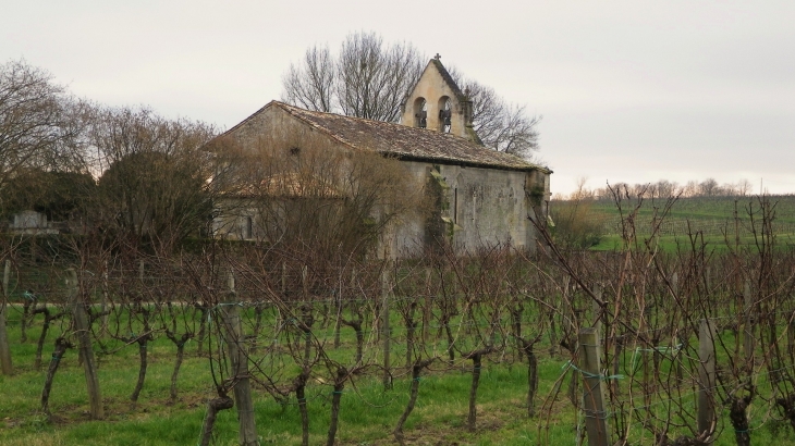 L'église au milieu des vignes. - Montignac