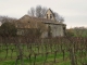 L'église au milieu des vignes.