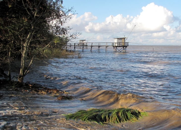 Les carrelets - Pauillac