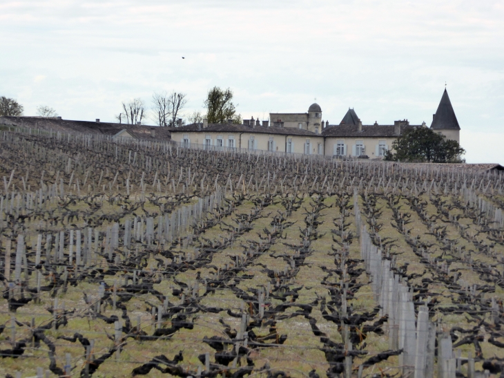 Vue sur le domaine Lafite Rotschild - Pauillac