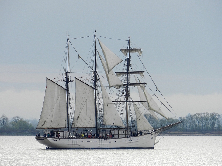 Le Marité est un trois-mâts goélette et le dernier terre-neuvier français en état de navigation. Là, il quitte le port de Pauillac vers Bordeaux.