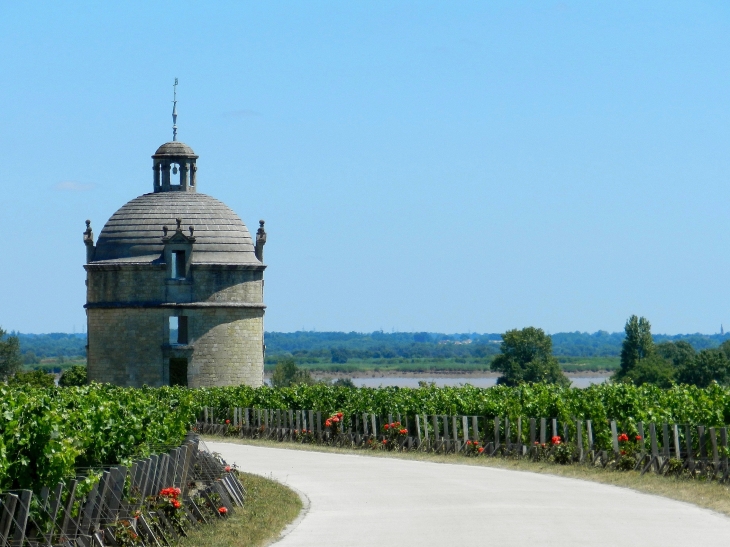 Château Latour - Pauillac