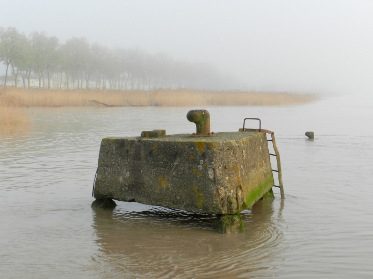 Bollards dans la brume vus depuis la capitainerie du port. - Pauillac