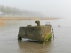 Bollards dans la brume vus depuis la capitainerie du port.