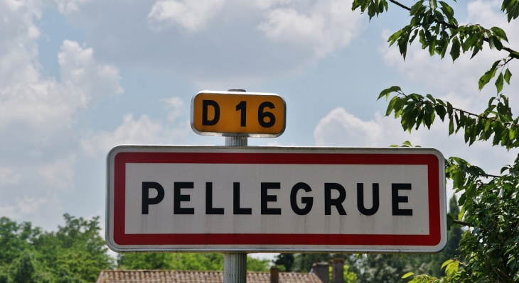  - Pellegrue