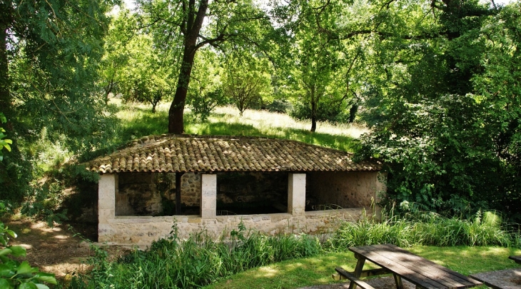 Le Lavoir - Pellegrue