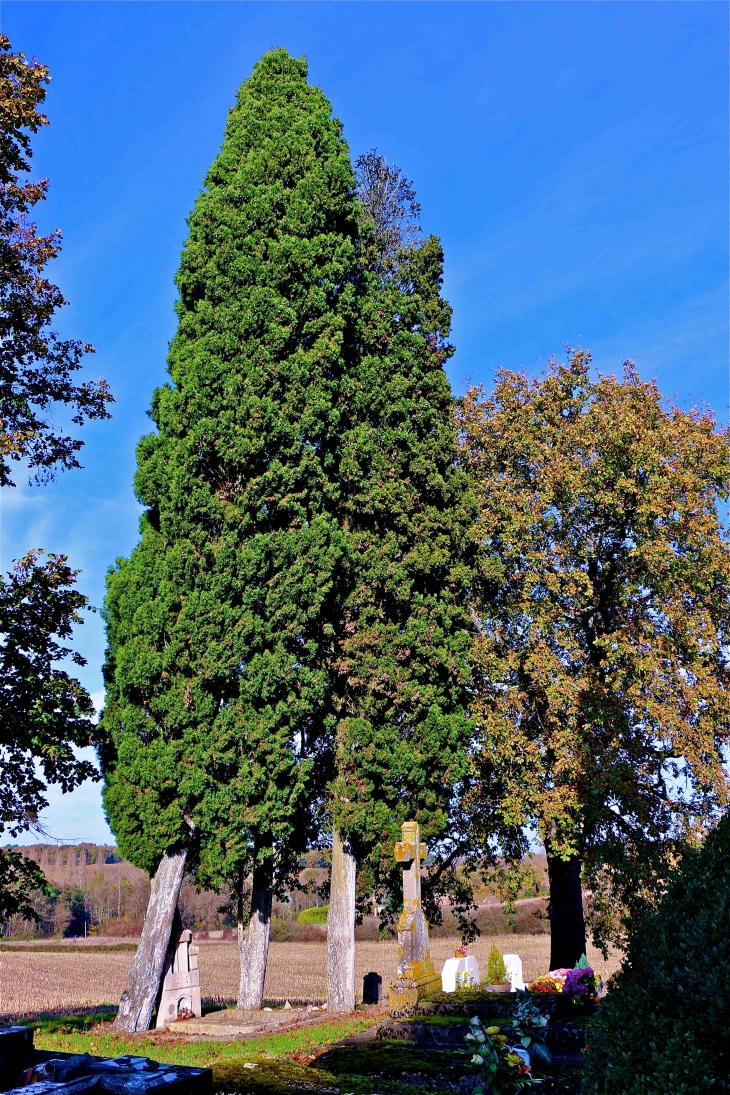 Depuis l'église Saint Laurent de Servole - Pellegrue