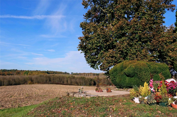 Depuis l'église Saint Laurent de Servole - Pellegrue