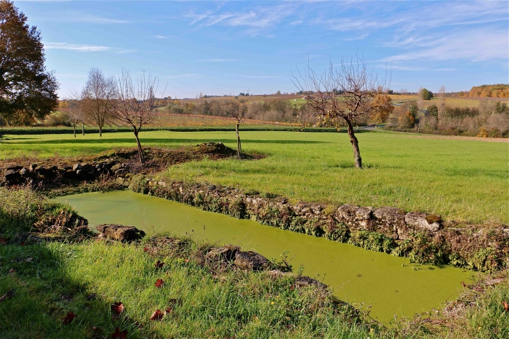 Au hameau Saint Laurent - Pellegrue