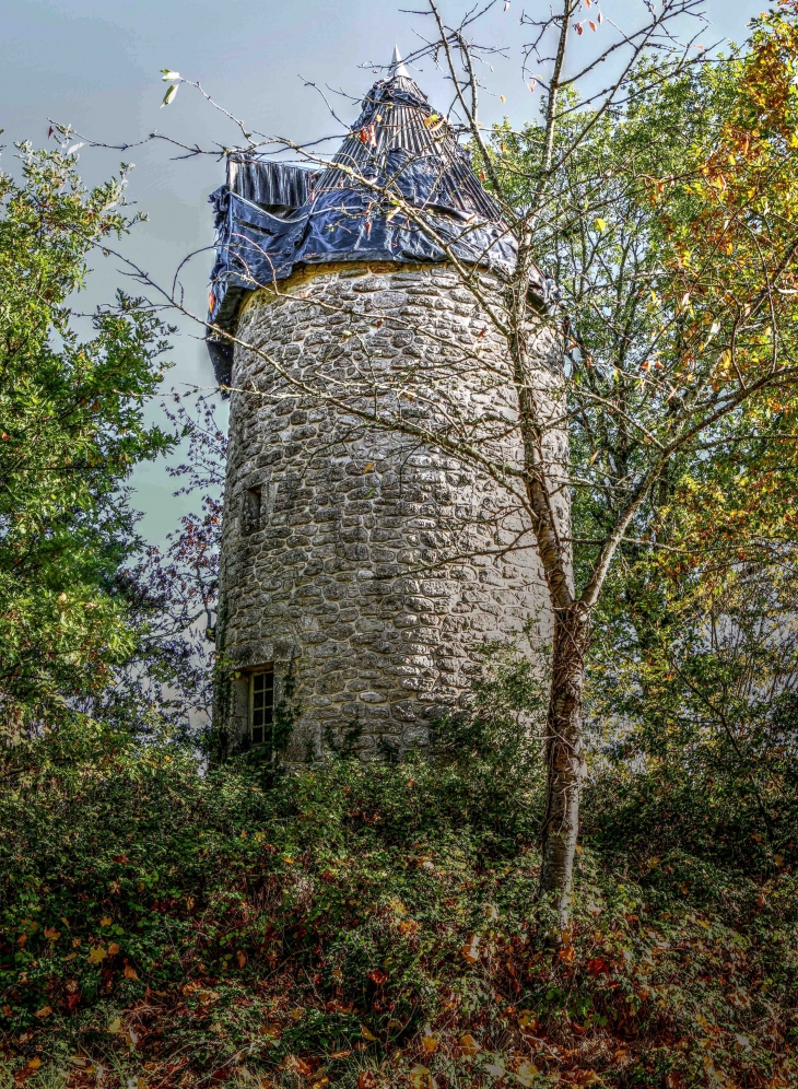 Le Moulin de la Jalousie - Pellegrue