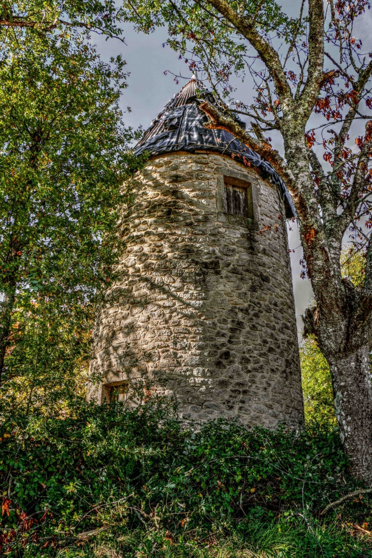 Le Moulin de la Jalousie - Pellegrue