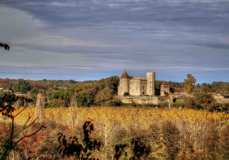 Château du Puch de Gensac - Pellegrue