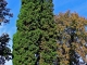 Photo suivante de Pellegrue Depuis l'église Saint Laurent de Servole