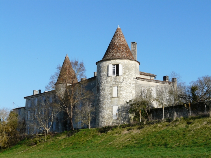 Le Chateau de Vidasse - Pessac-sur-Dordogne