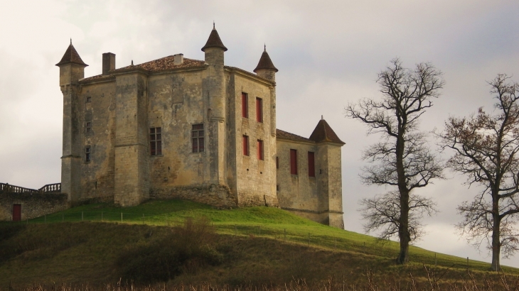 Le château de Monbadon - Puisseguin