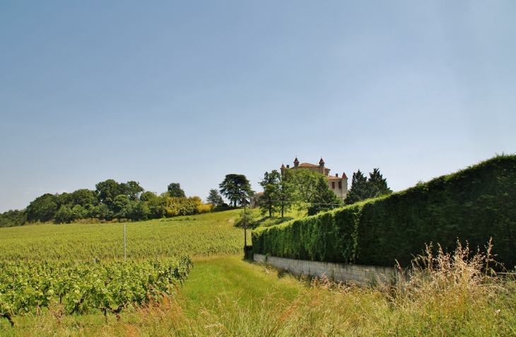 !Château de Monbadon - Puisseguin