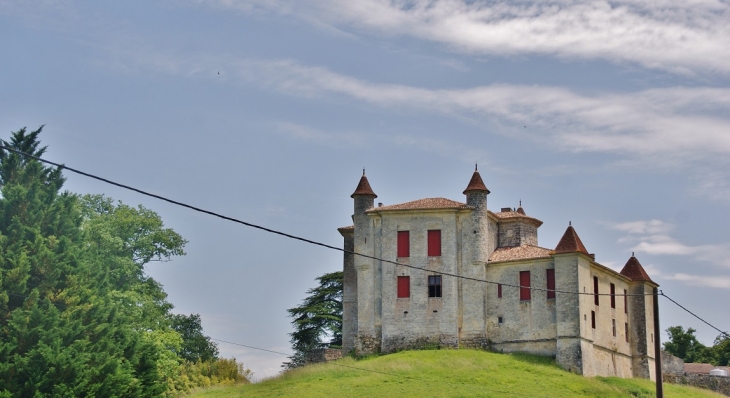 !Château de Monbadon - Puisseguin