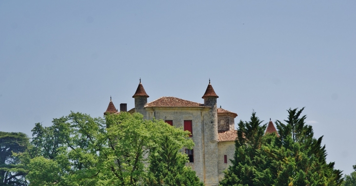 !Château de Monbadon - Puisseguin