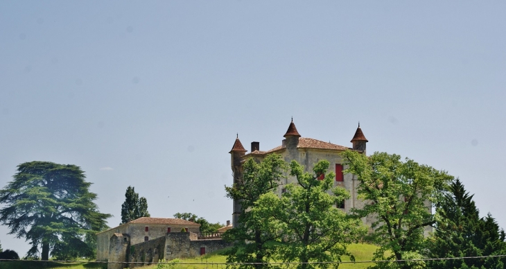 !Château de Monbadon - Puisseguin