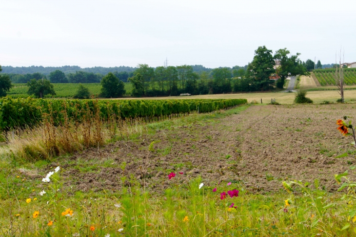 Aux alentours. - Puynormand