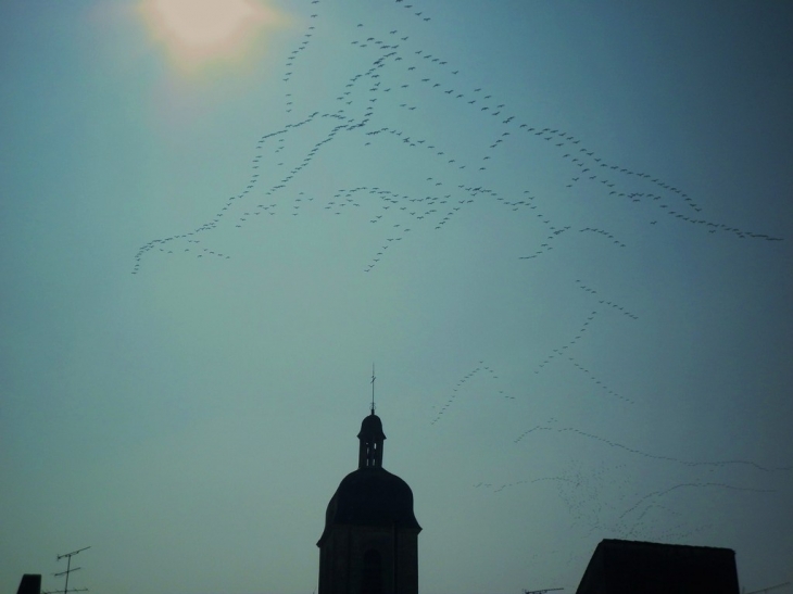 Au dessus de l'église, passage de grues remontant vers le nord. - Rions