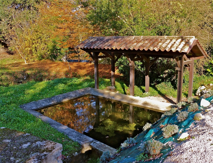 Le Lavoir au Montet - Saint-André-et-Appelles