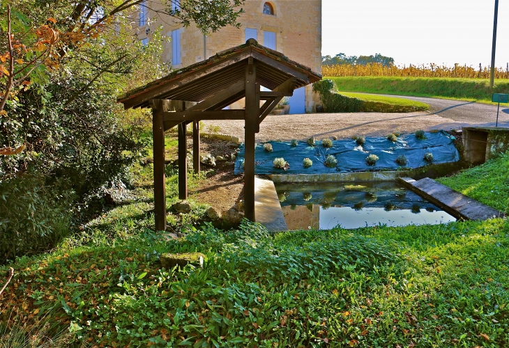 Le Lavoir au Montet - Saint-André-et-Appelles