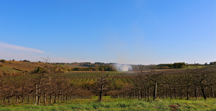 Aux alentours - Saint-André-et-Appelles