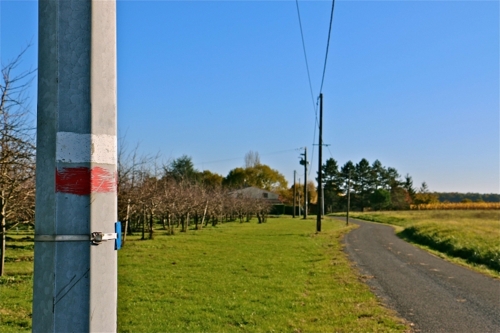 Aux alentours - Saint-André-et-Appelles