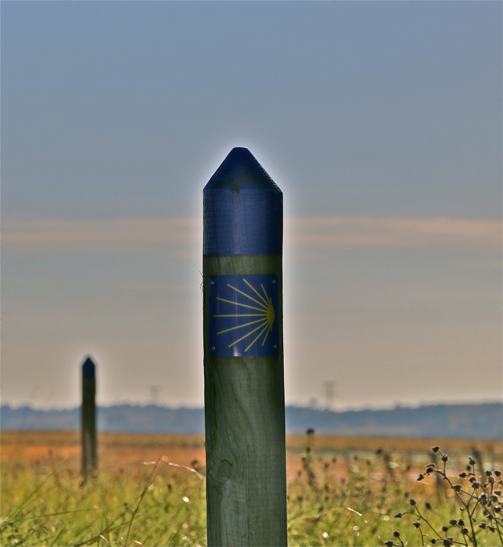 Vers Appelles - Saint-André-et-Appelles