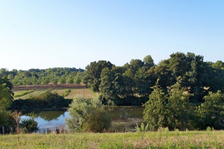 La vue sur l'Isle. - Saint-Antoine-sur-l'Isle