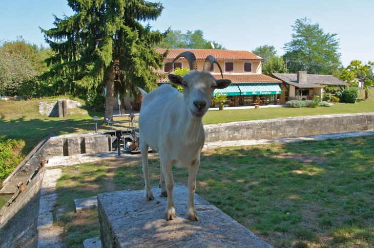 Au bord du canal. - Saint-Antoine-sur-l'Isle