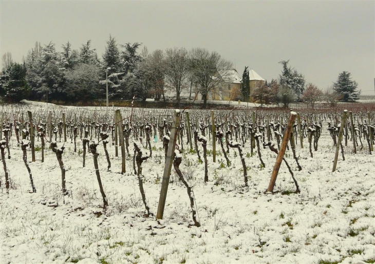 Saint-Aubin-de-Branne