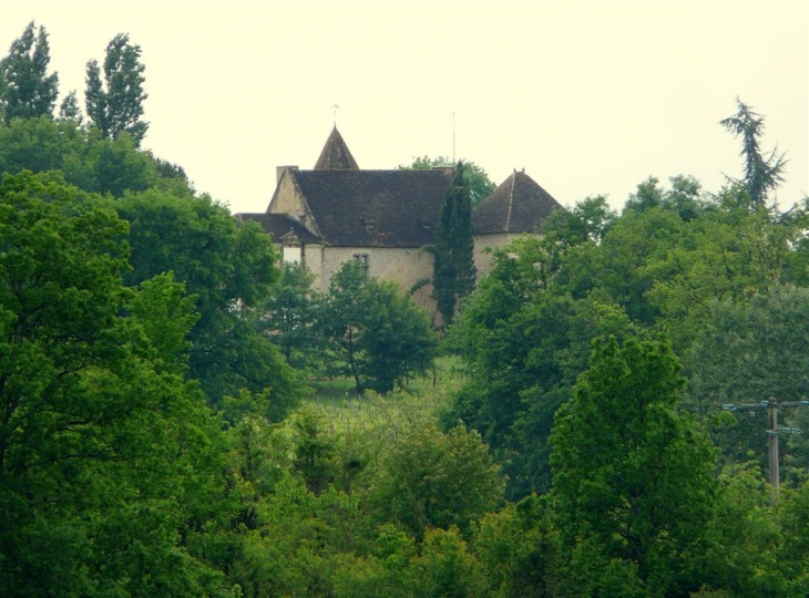 Saint-Aubin-de-Branne