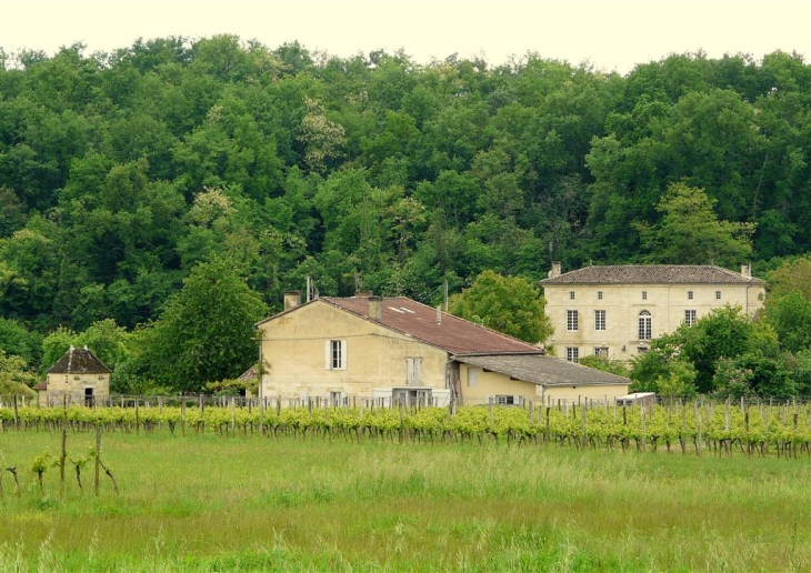 Saint-Aubin-de-Branne