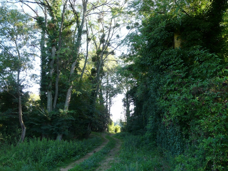 Chemin du port - Saint-Aubin-de-Branne