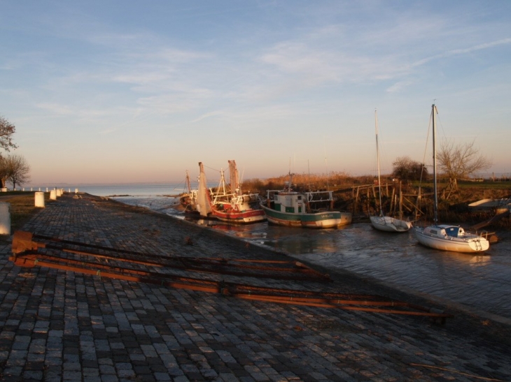 PORT DE ST CHRISTOLY DE MEDOC - Saint-Christoly-Médoc