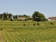 Photo suivante de Saint-Cibard Les Vignobles